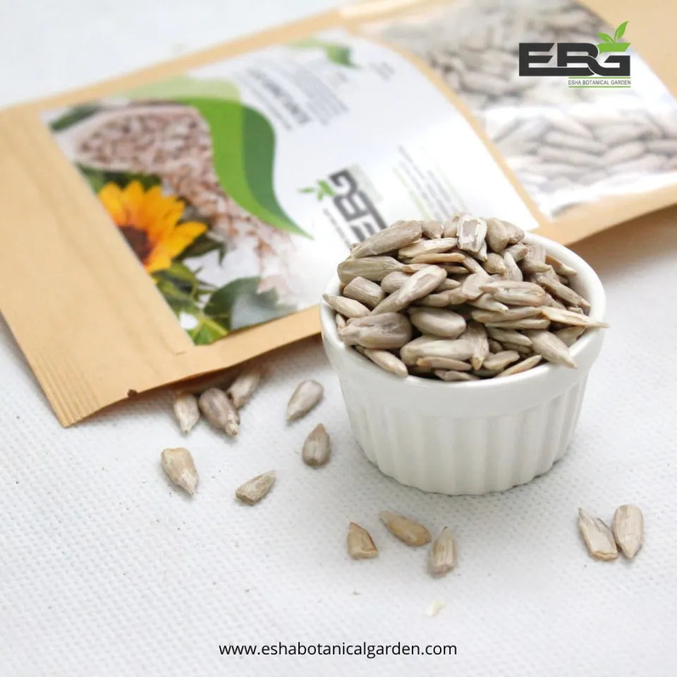 Sunflower seeds 100g pouch