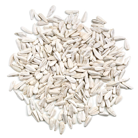 Sunflower seeds 100g pouch